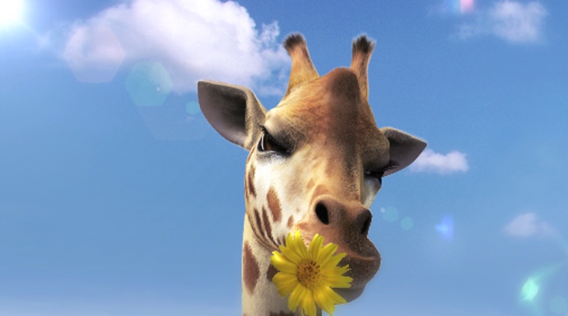 圖片 2.jpg 圖片 2.jpg